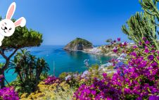 anteprima pasqua ischia e procida.jpg